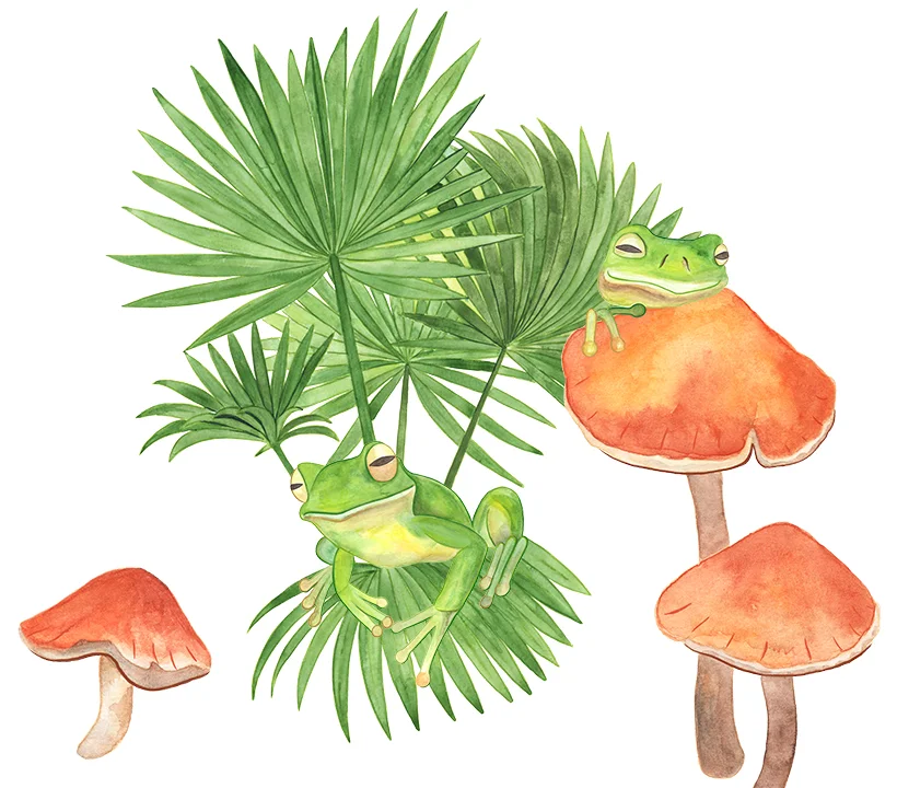 Green tree frogs - Watercolour & digital commission