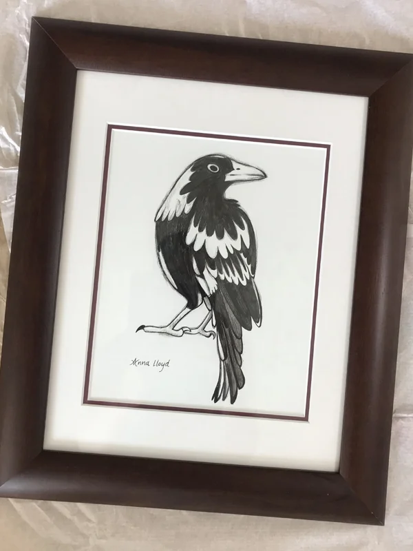 Proud Magpie framed