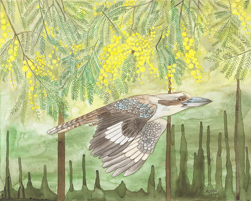 Kookaburra and Wattle - Watercolour on Canvas