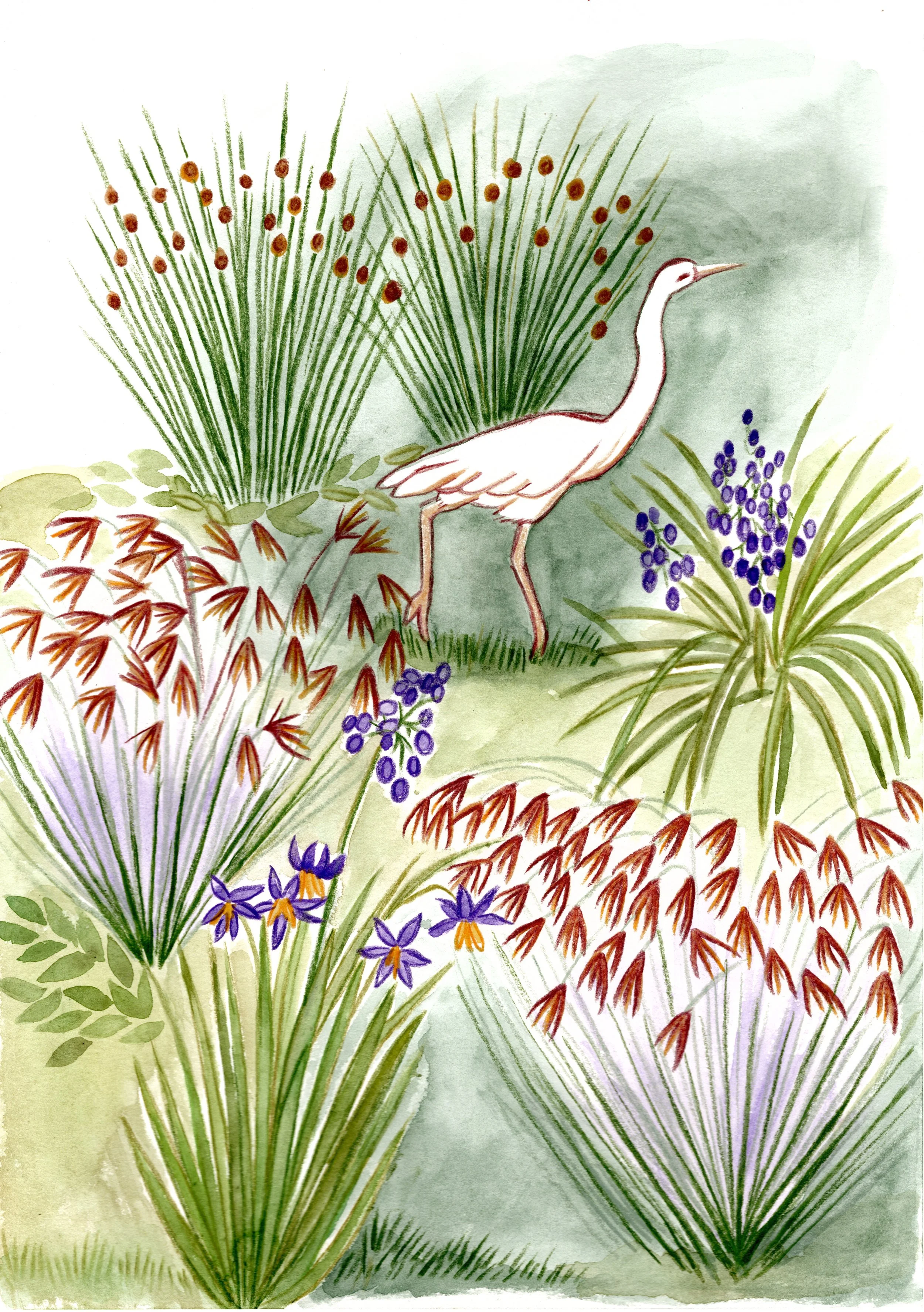 Great egret waterbird pattern - Pencil & watercolour