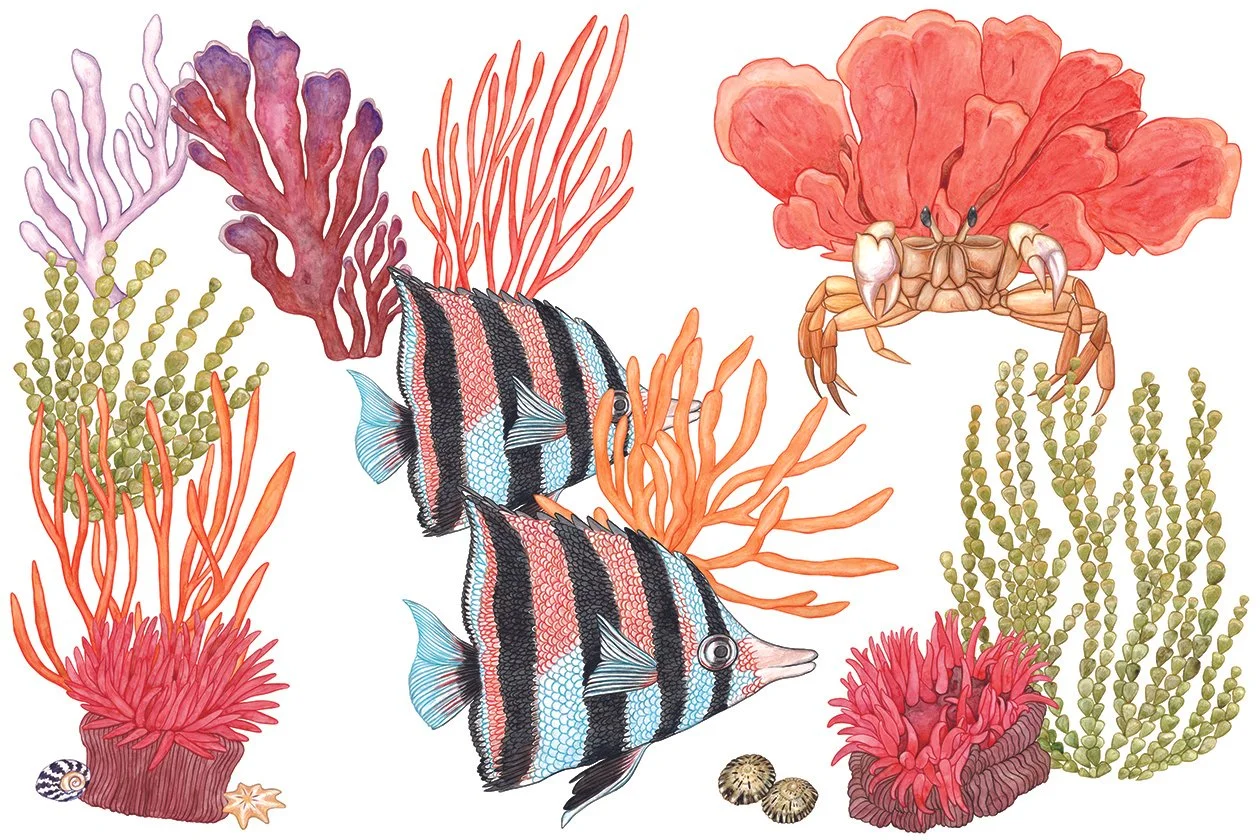 Ocean themed mural  - Watercolour