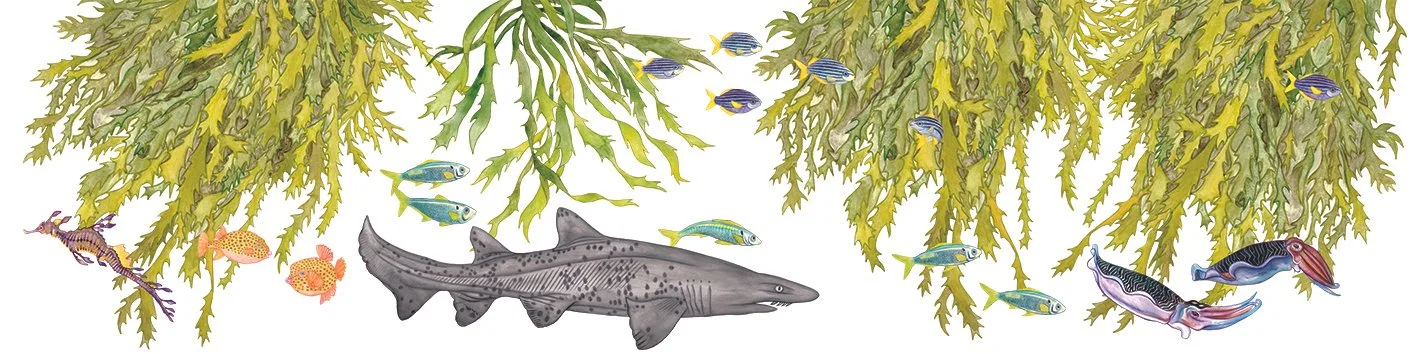 Ocean themed mural - watercolour - 2026