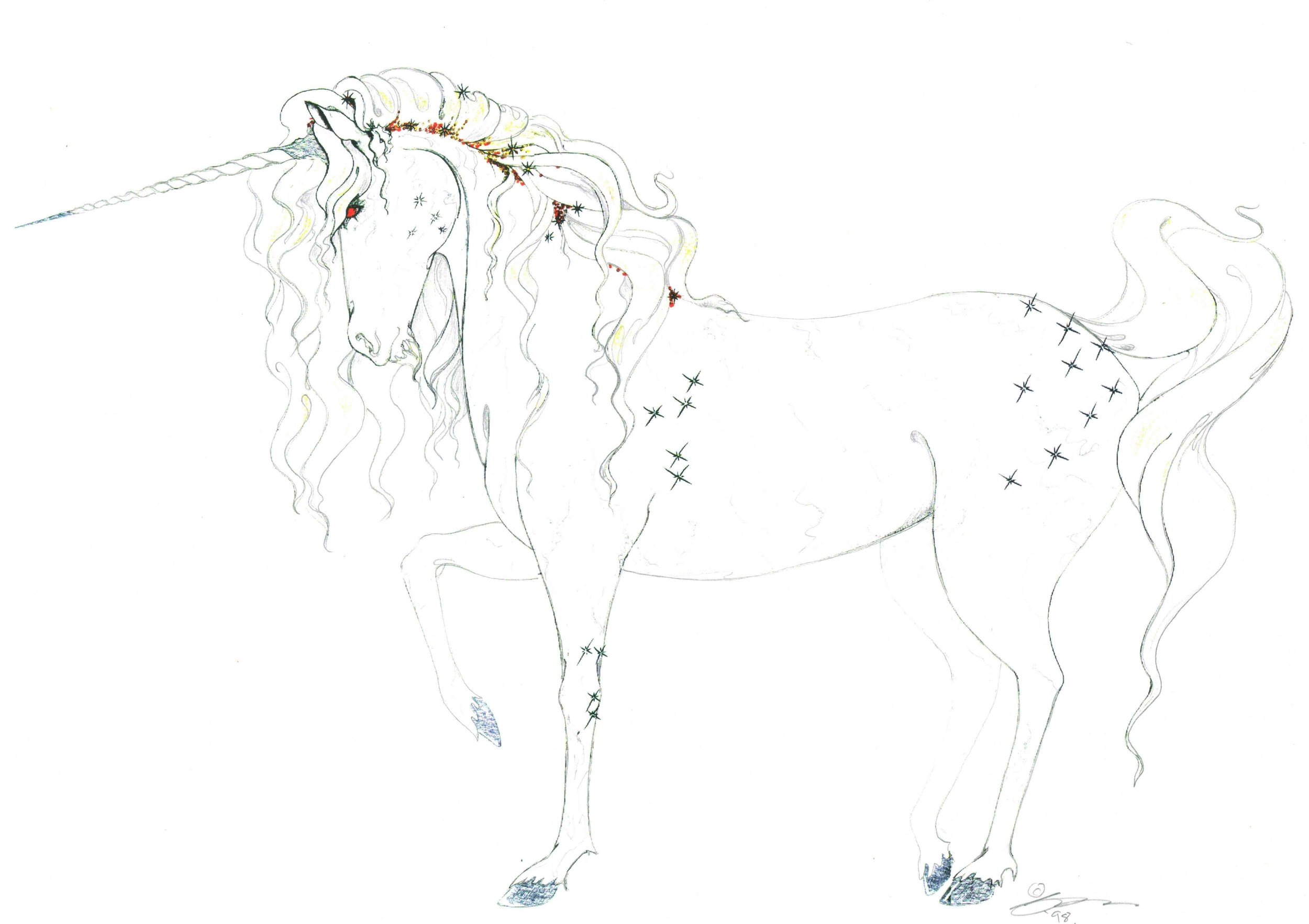 Fibre Optic Unicorn Concept 3.jpg