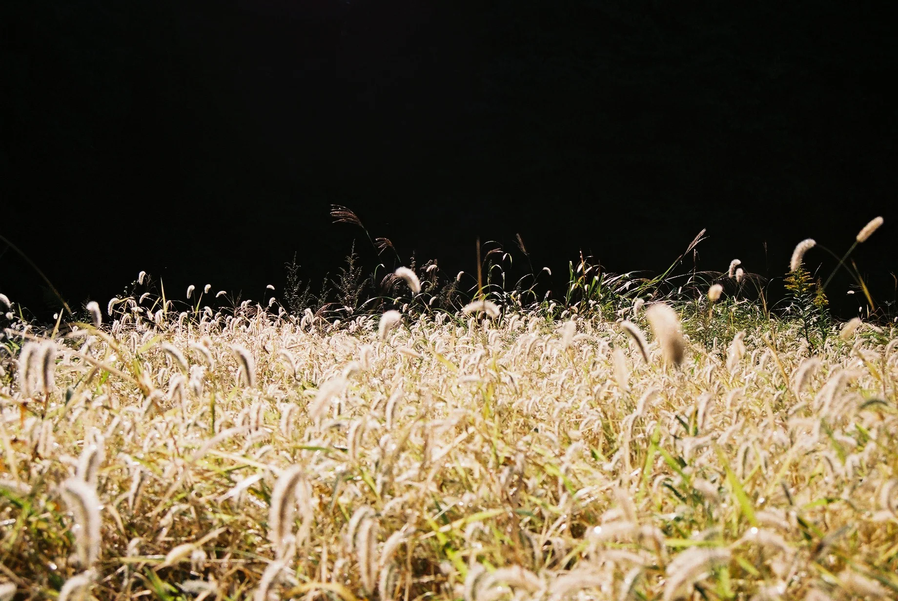FH000010-8.jpg