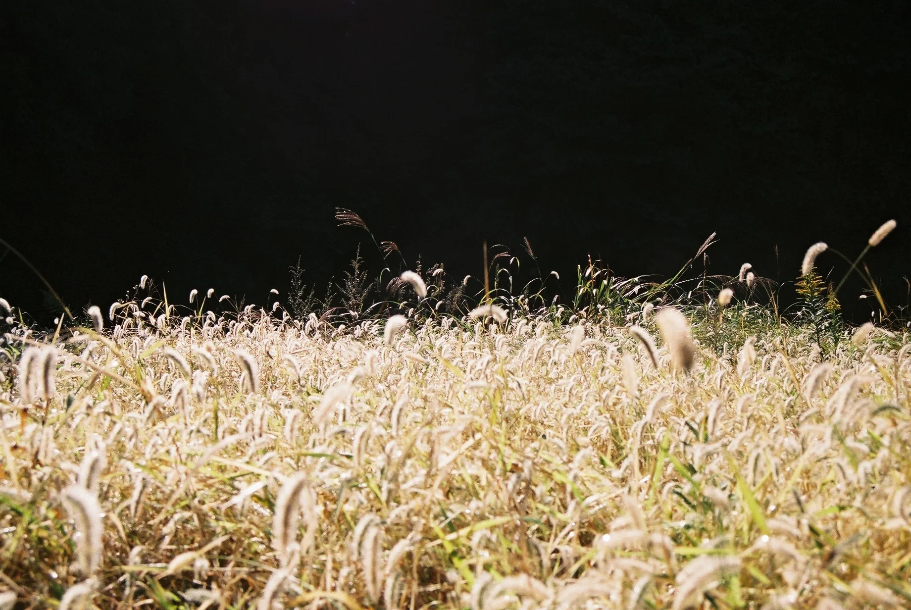 FH000010.JPG