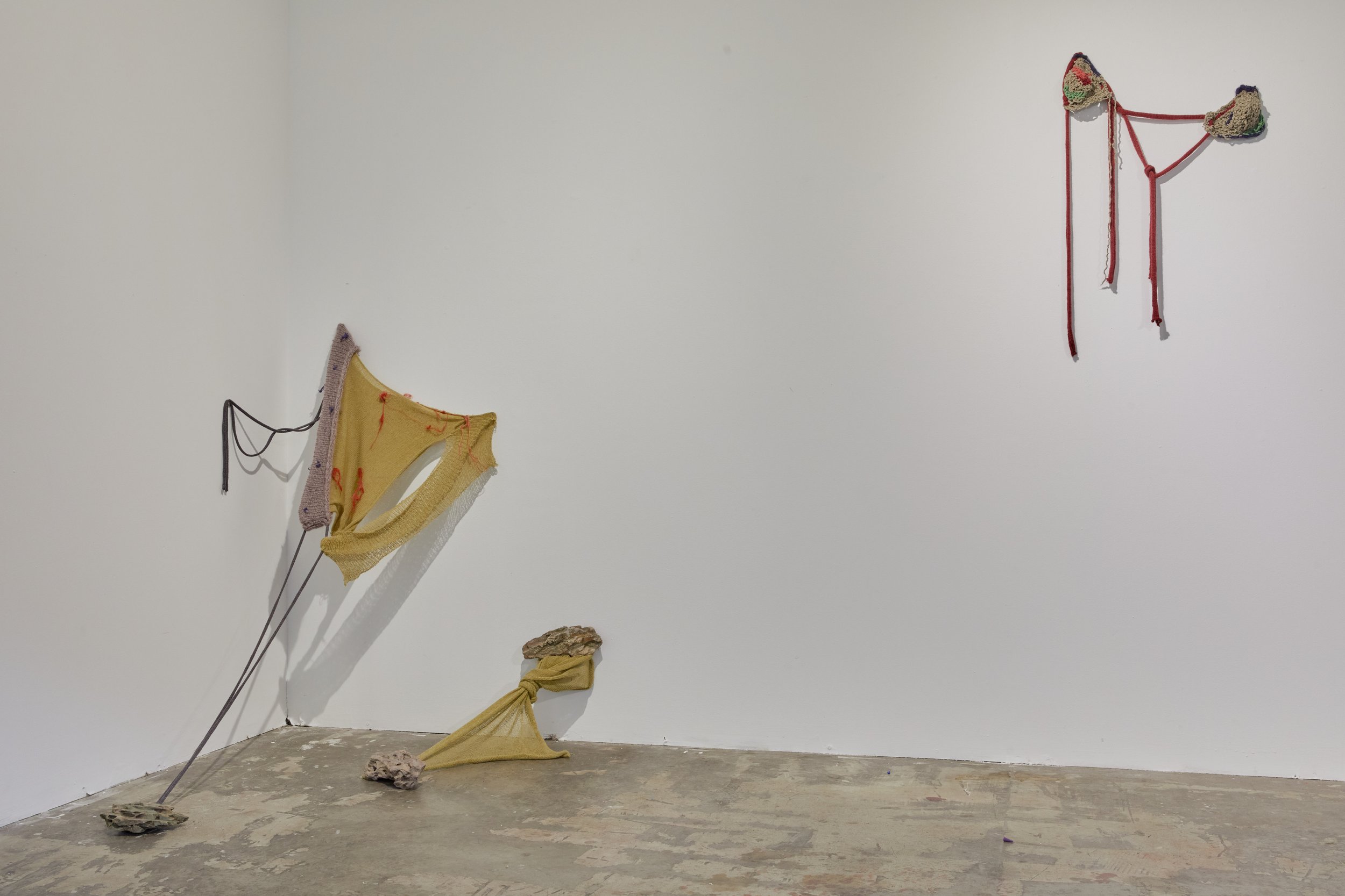 20221121_DAISY_FLOW STUDIOS_D0A0038.jpg