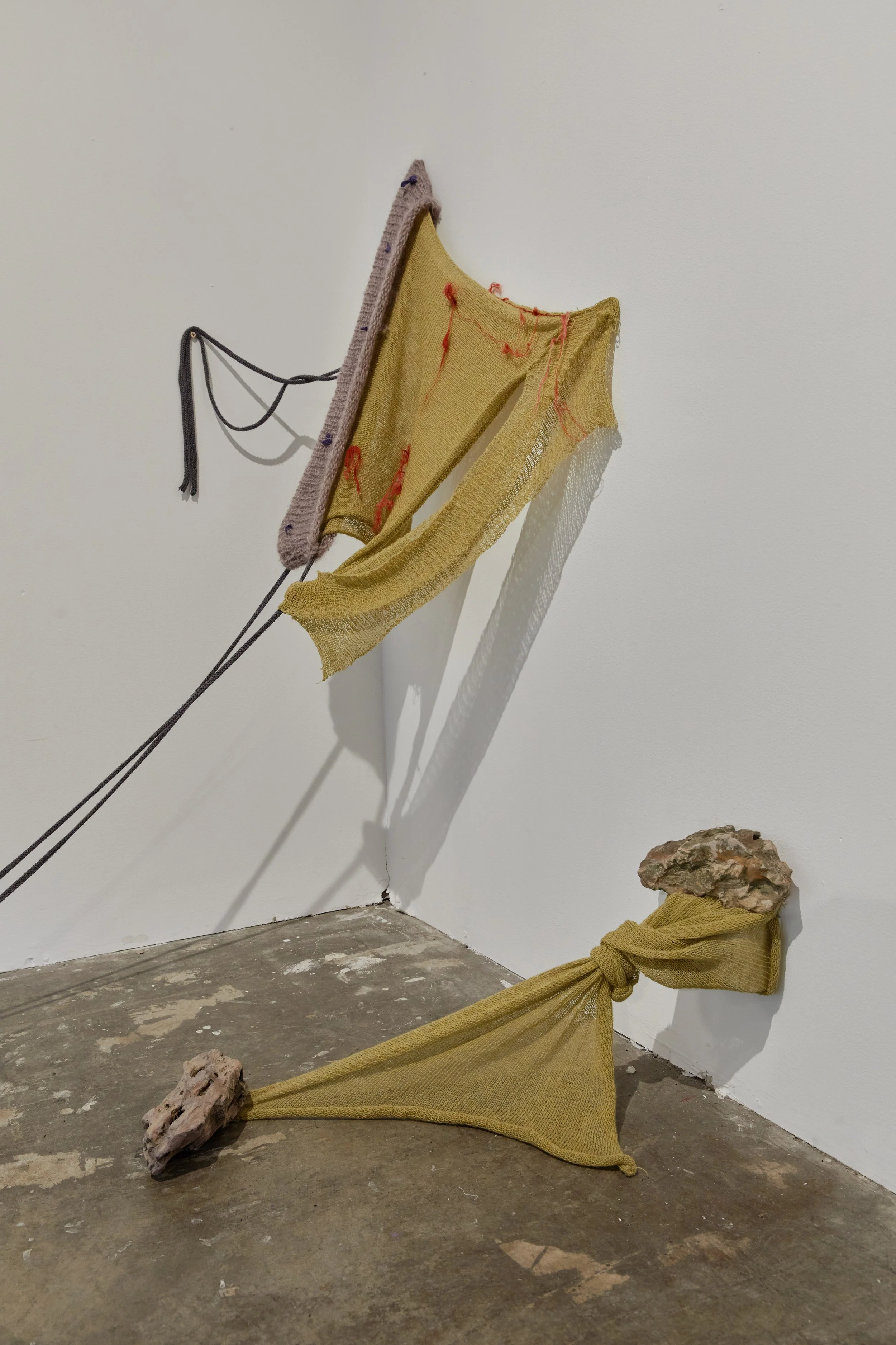 20221121_DAISY_FLOW STUDIOS_D0A0118.jpg