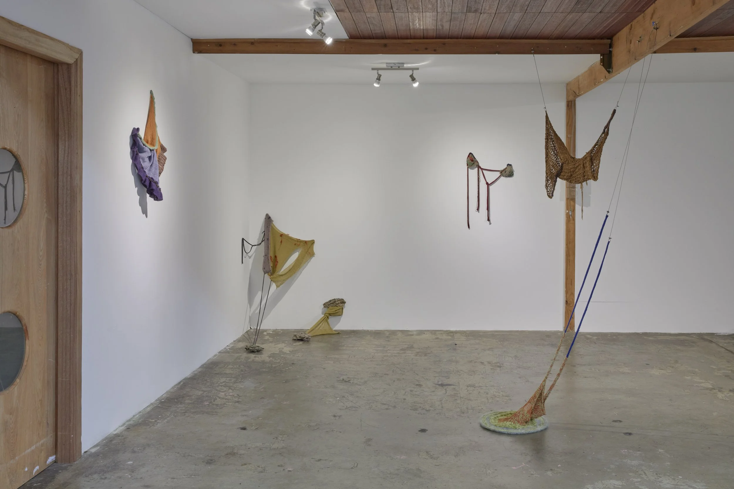 20221121_DAISY_FLOW STUDIOS_D0A9987_edit-2.jpg