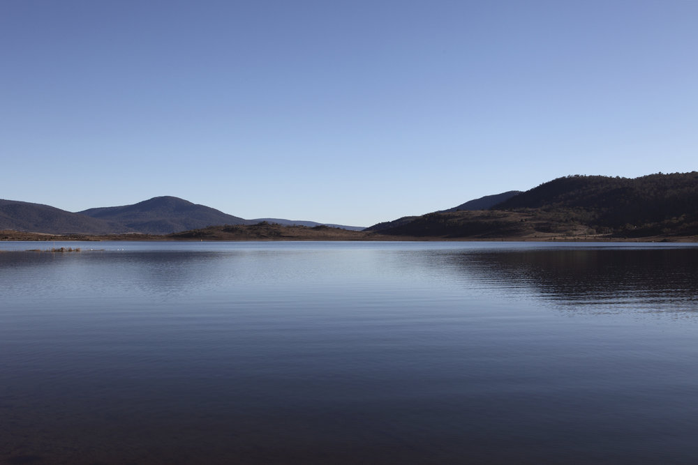 iStock_000013950612_Large.jpg