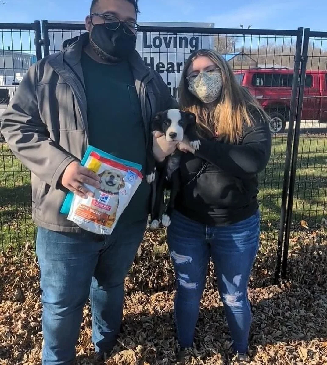 Jasey turned 1 last week. 🐶