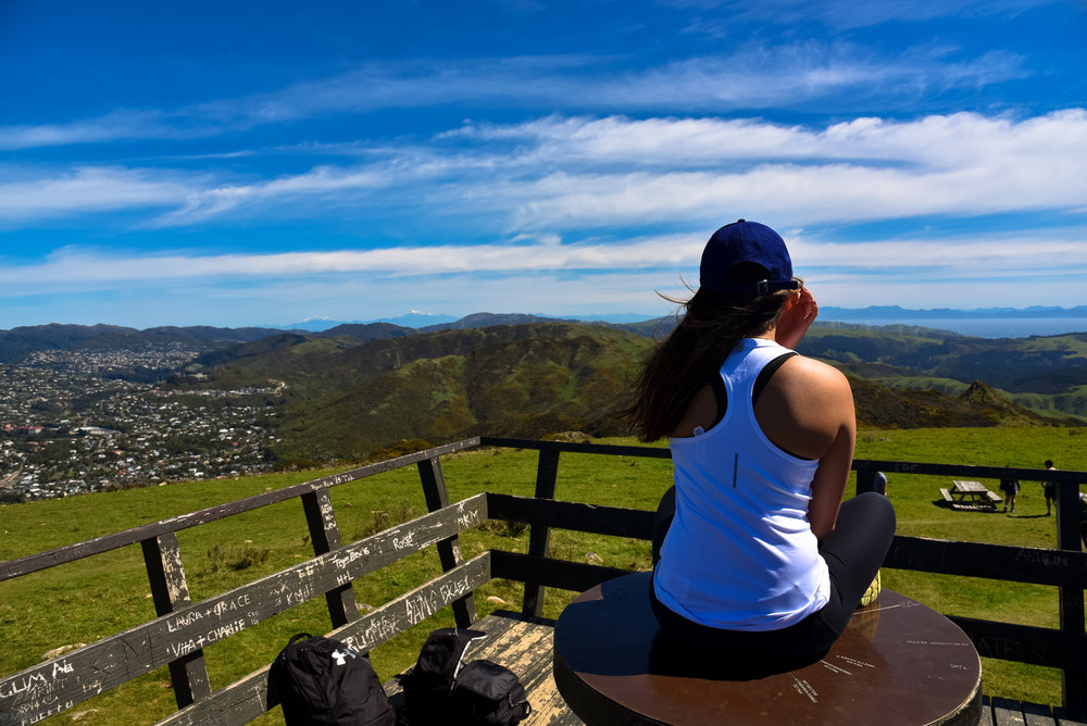   Viewing point next to the massive telephone tower. The sundial/compass I am sitting on has the distances/directions of various spots in New Zealand.&nbsp;  