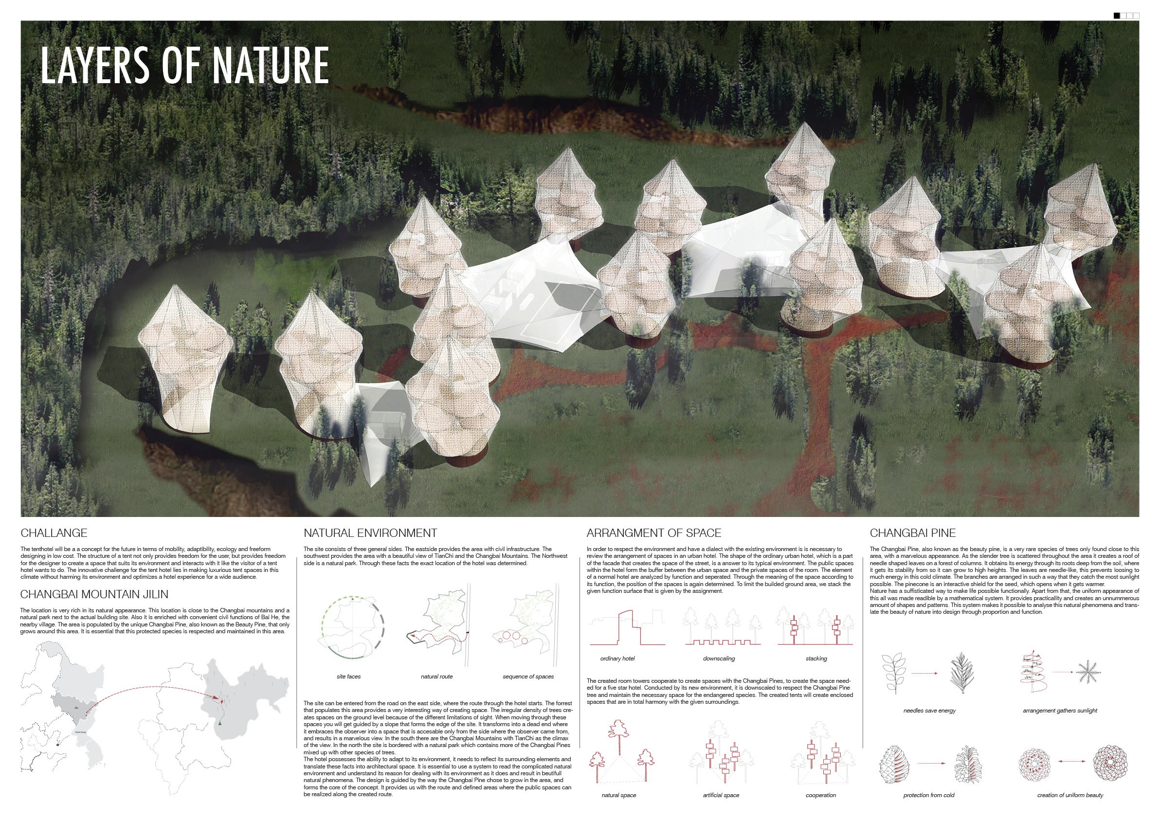 LAYERS OF NATURE.jpg