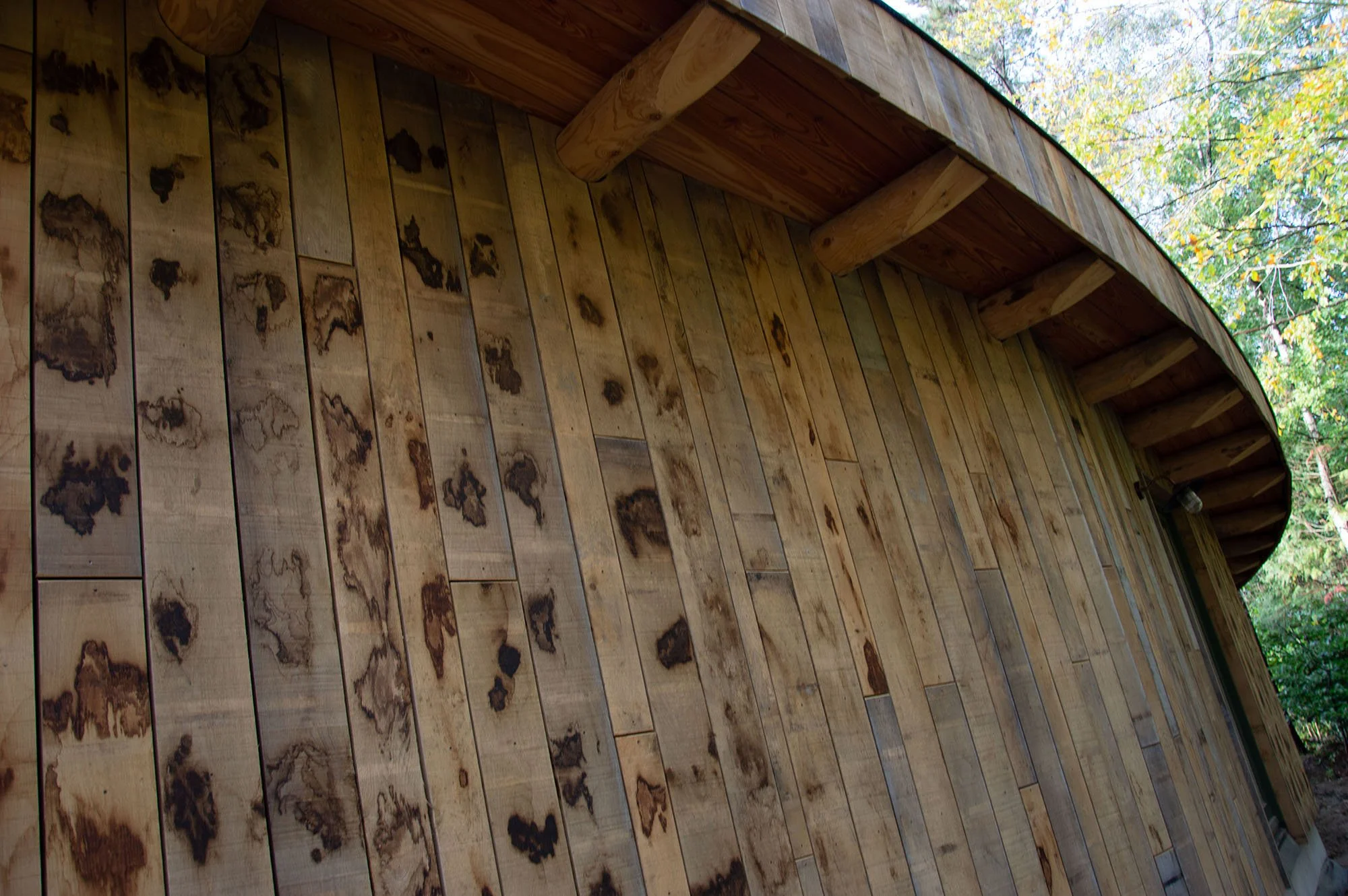 Den Hout 16.thermisch gemodificeerd.jpg