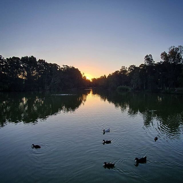 Peaceful and beautiful.
Thank you, nature! 
#lake #botany #home #sunset