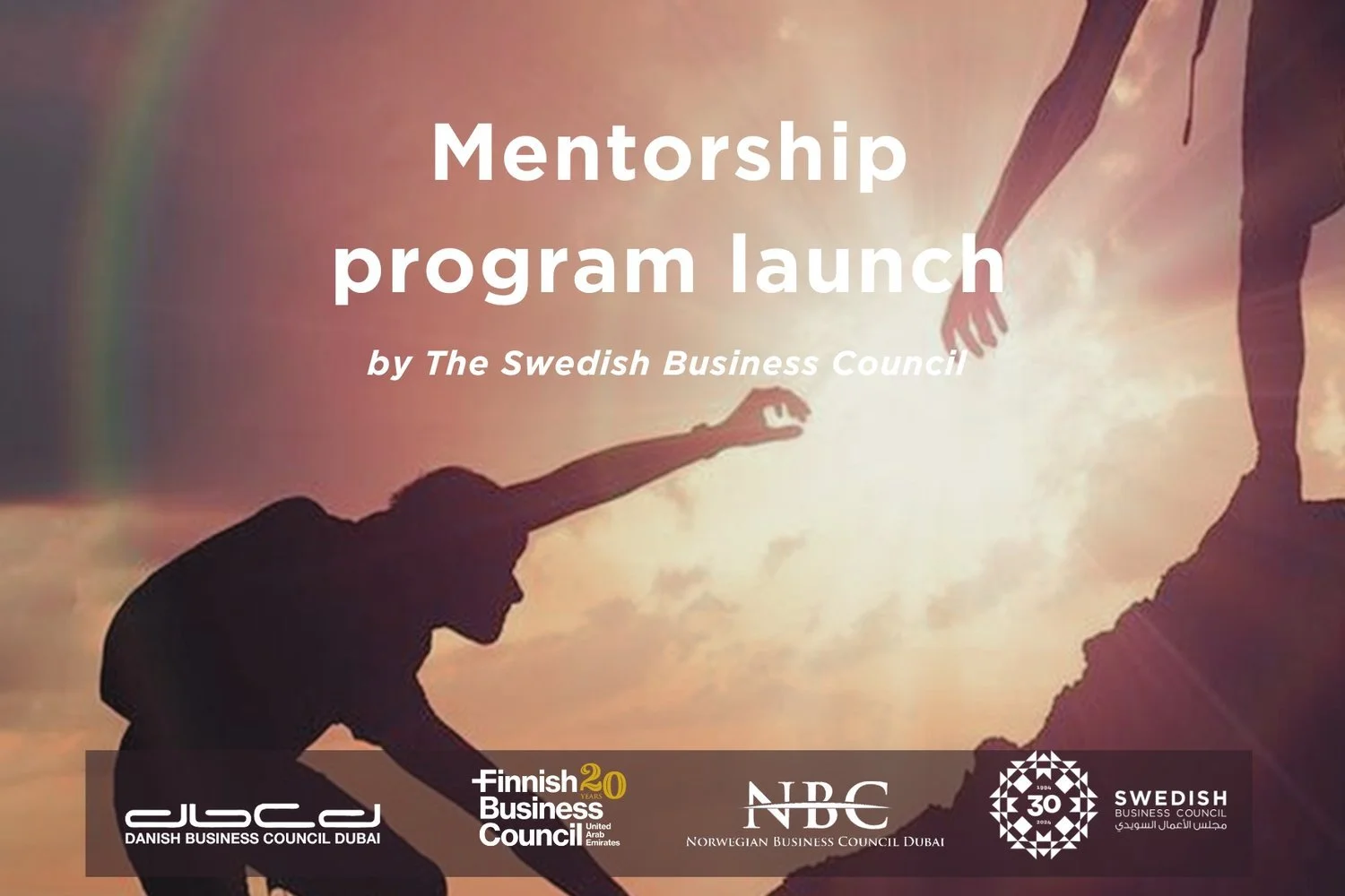 Mentorship Program launch - Private event