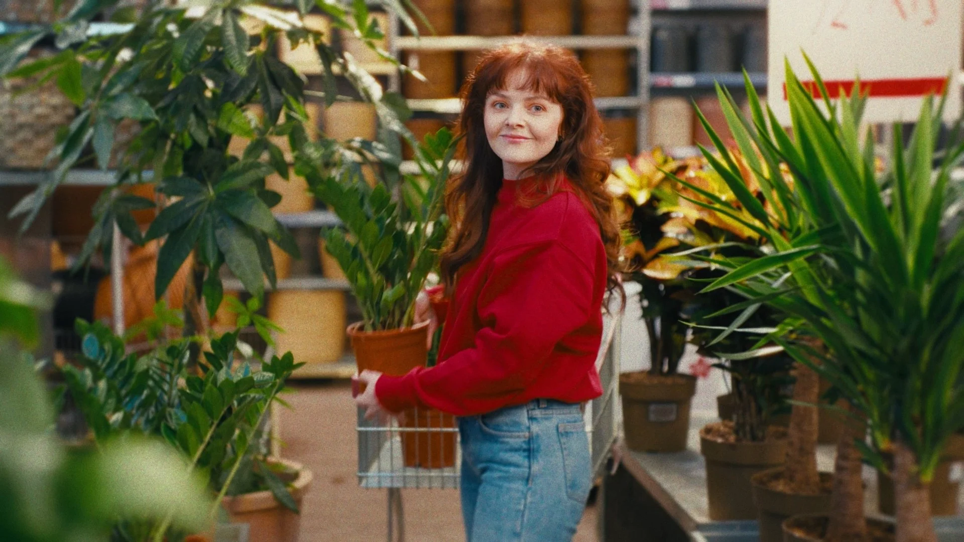 Plantasjen_1.1.4.jpg