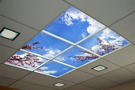 Sky Scenes