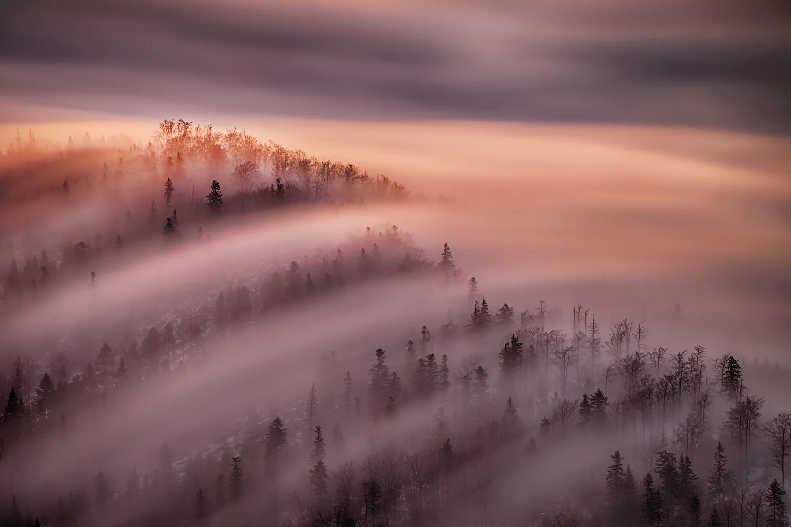 Alter-View_Photography_Showcase_Peter_Svoboda_23.jpg