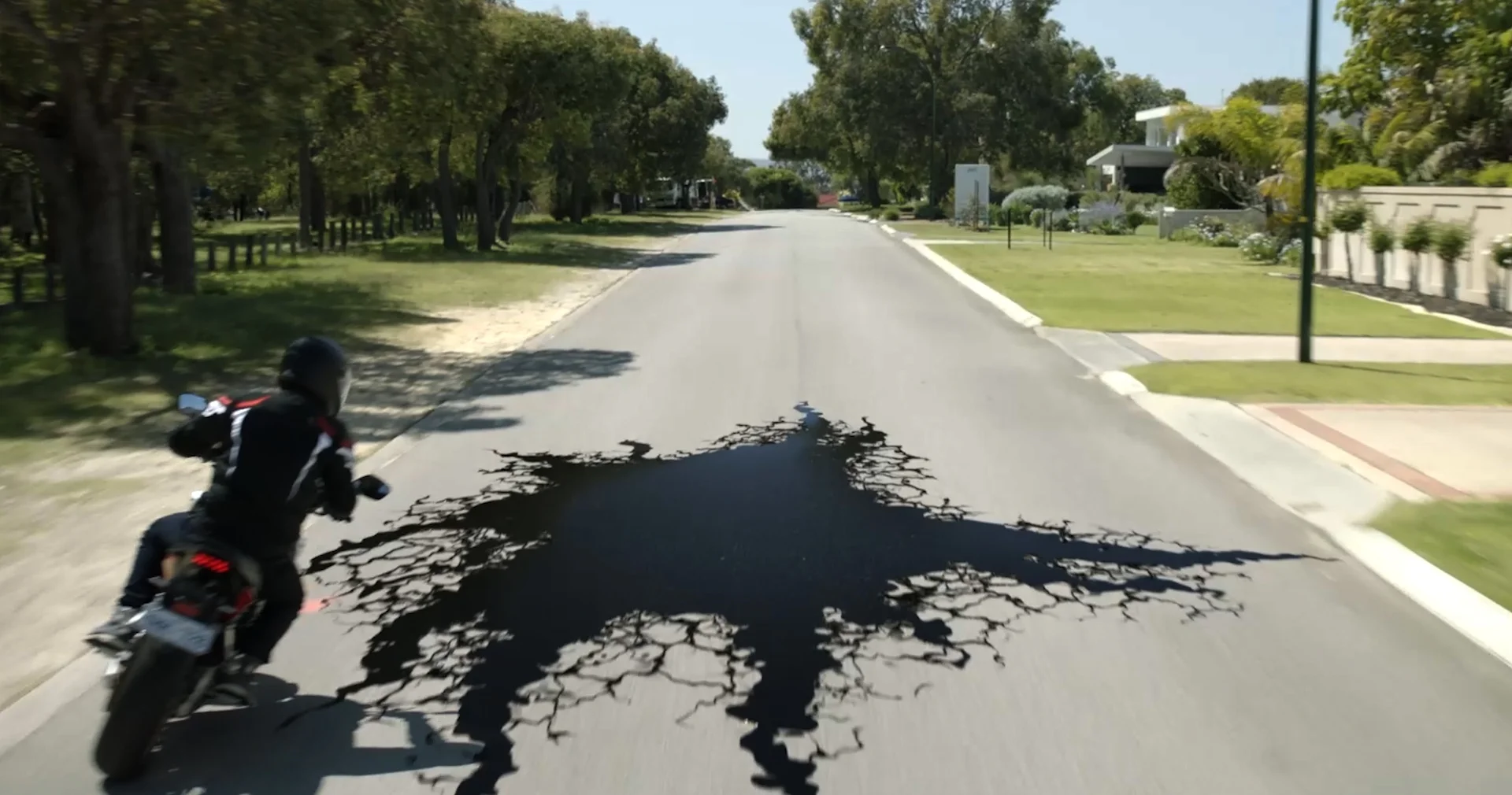 oil6.jpg
