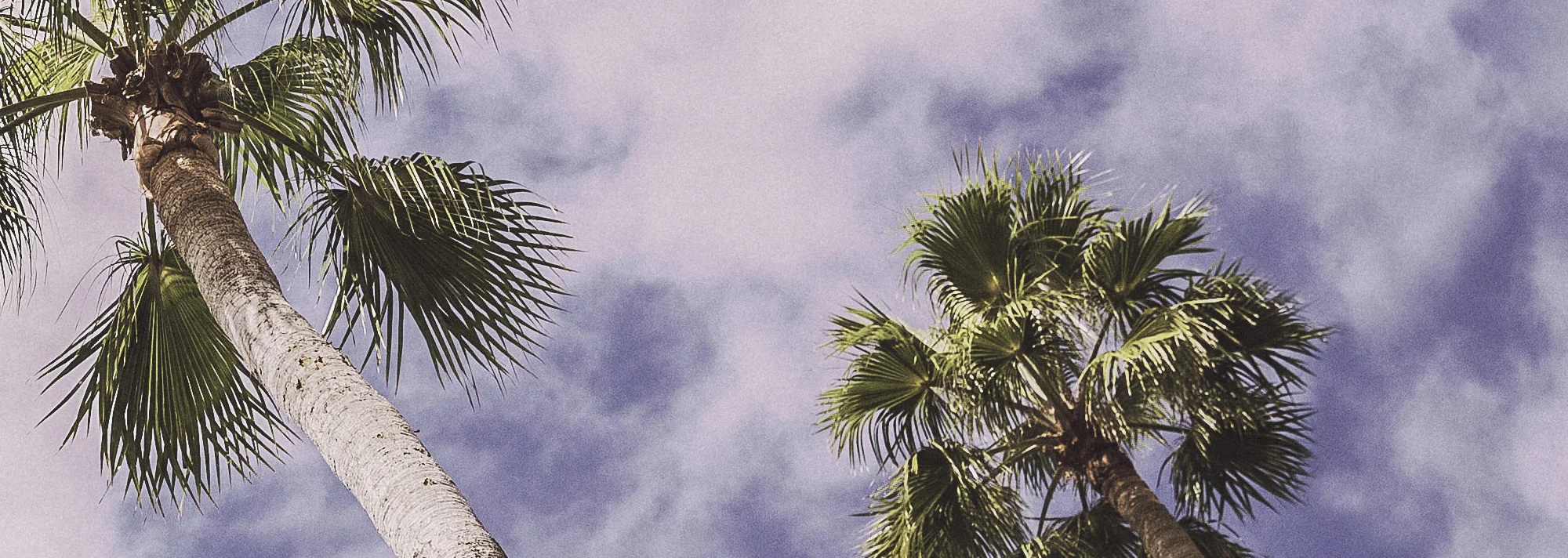 Above and Below theme 3