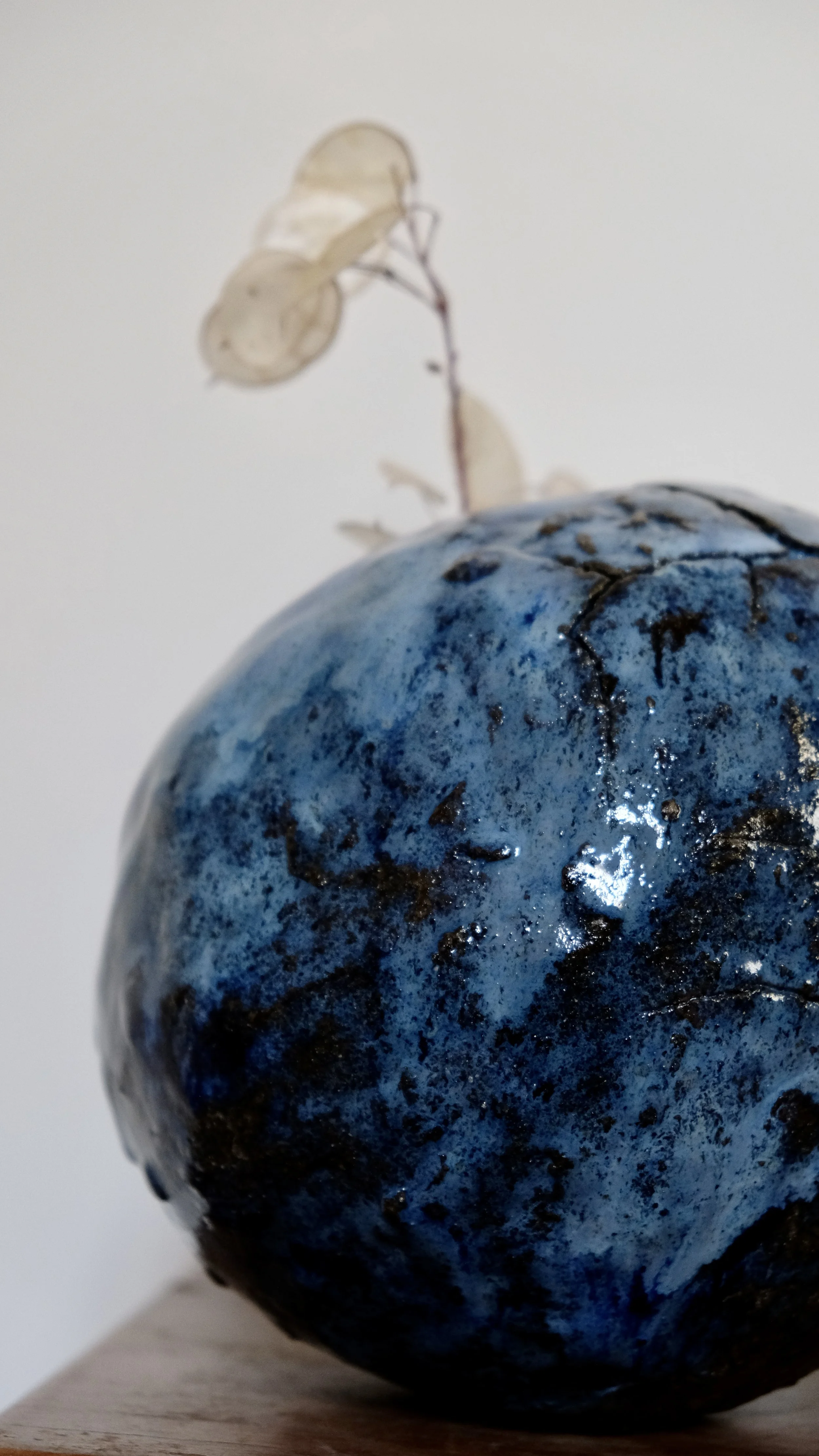 DSCF6233.jpg