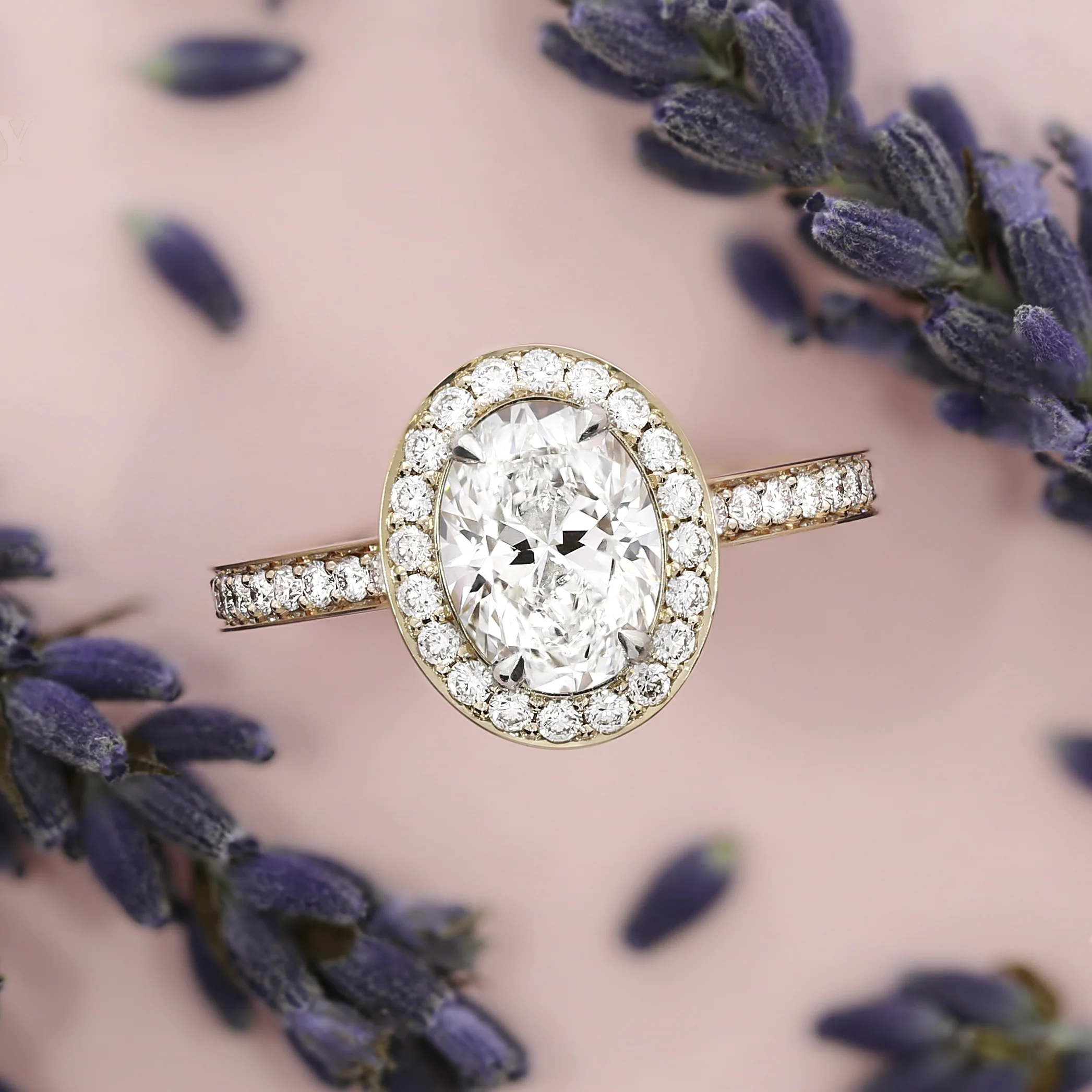 oval-halo-lavender.jpg