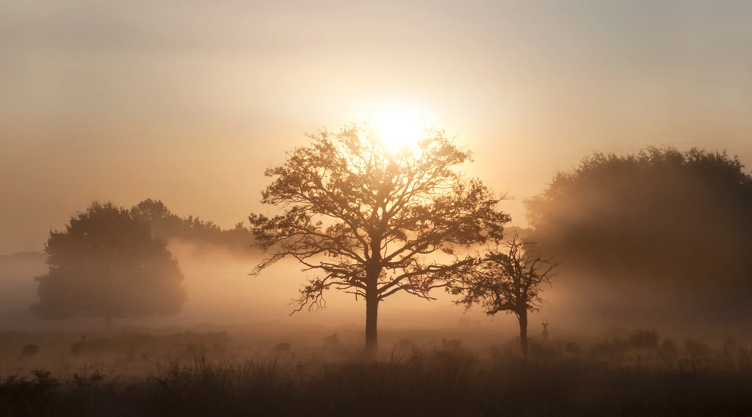 Ida_Hollis_Photography_Nature014.jpg