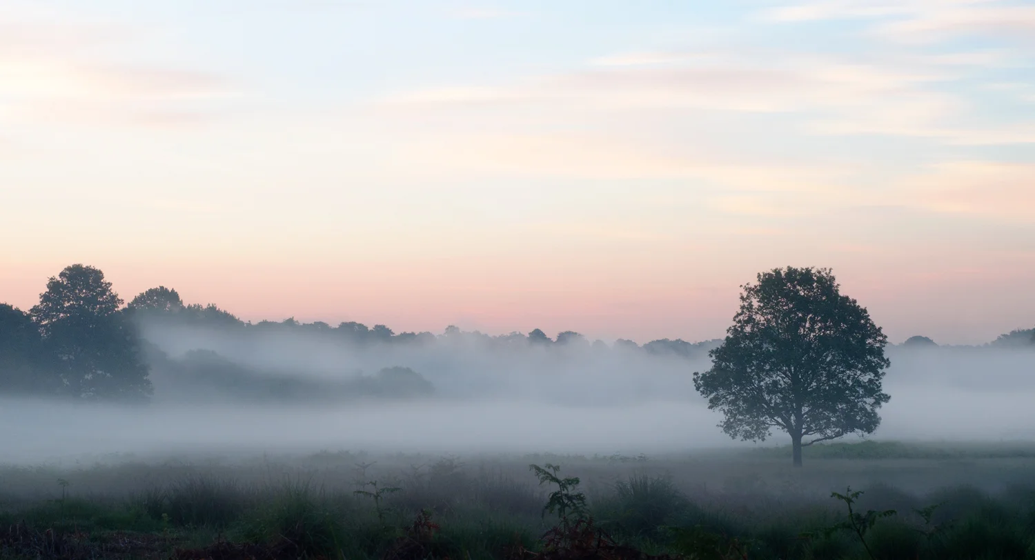 Ida_Hollis_Photography_Nature036.jpg