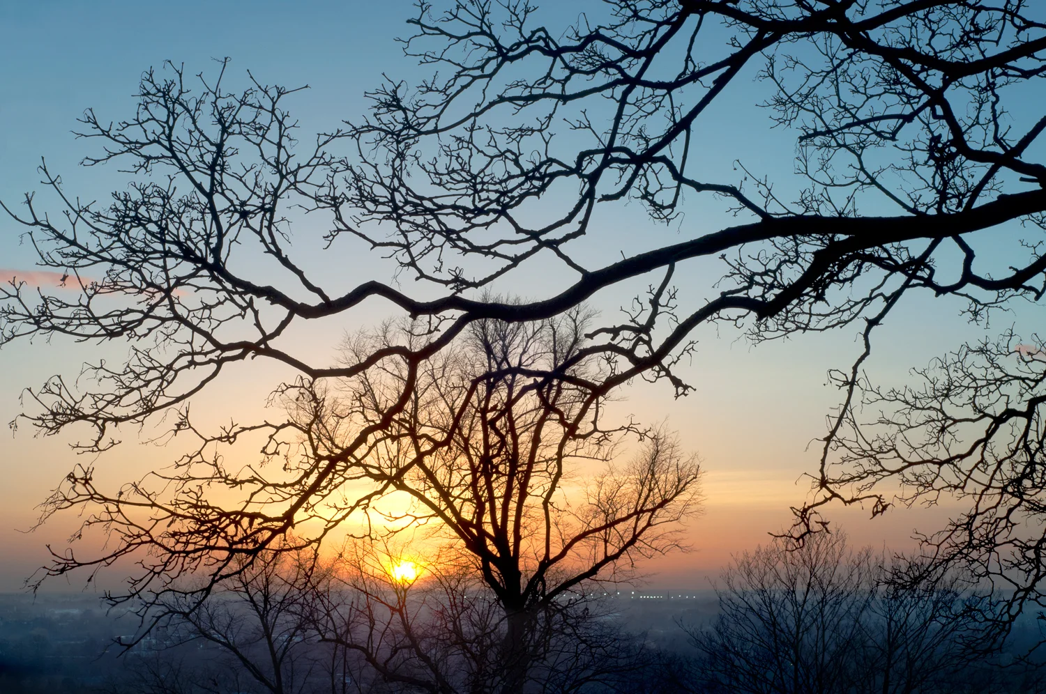 Ida_Hollis_Photography_Nature057.jpg