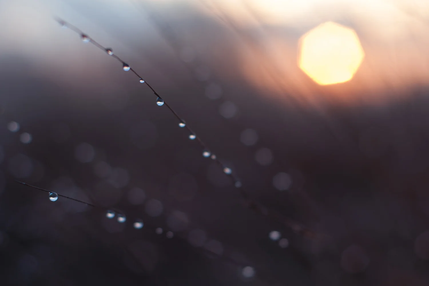Winter-SparklesWEB.jpg