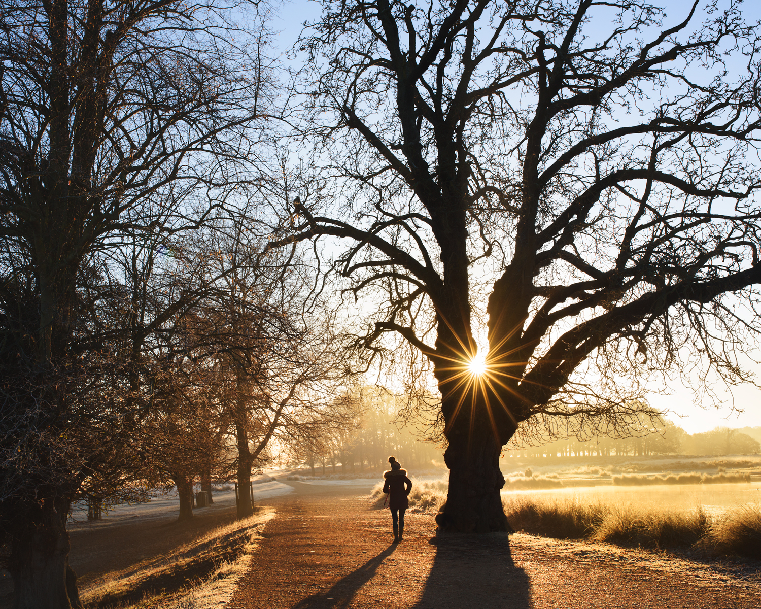 Featured in Flickr's '50 Best Female Photographers' Gallery!