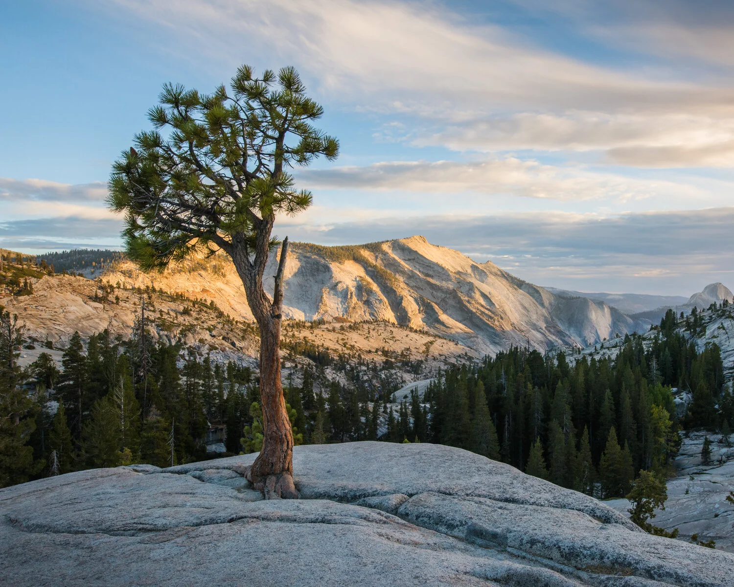 Olmsted Point at Sunset