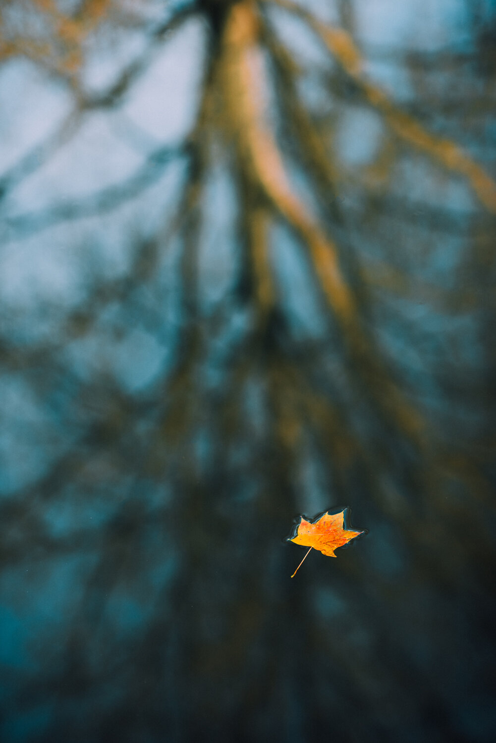 Little Signs of Autumn