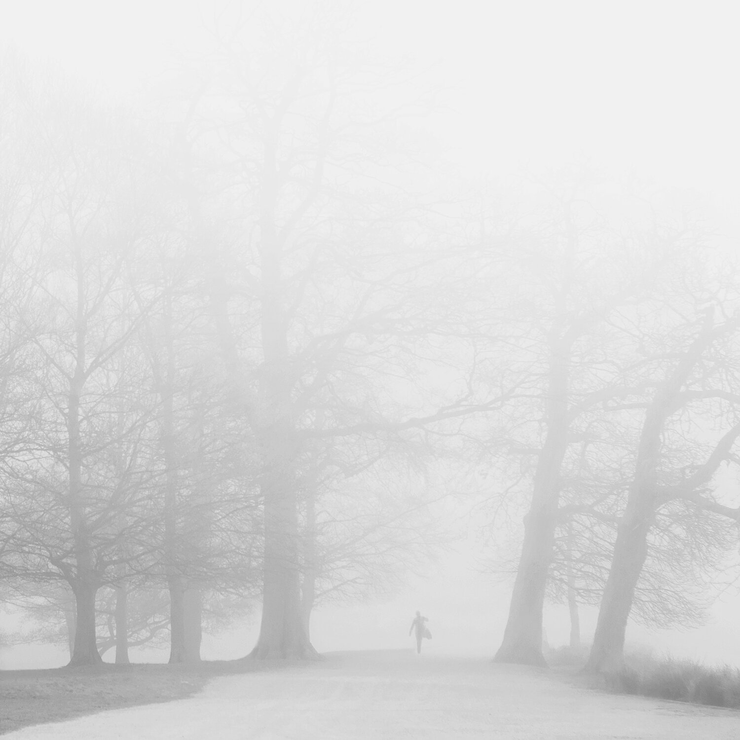 Ida_Hollis_Photography_Nature079.jpg
