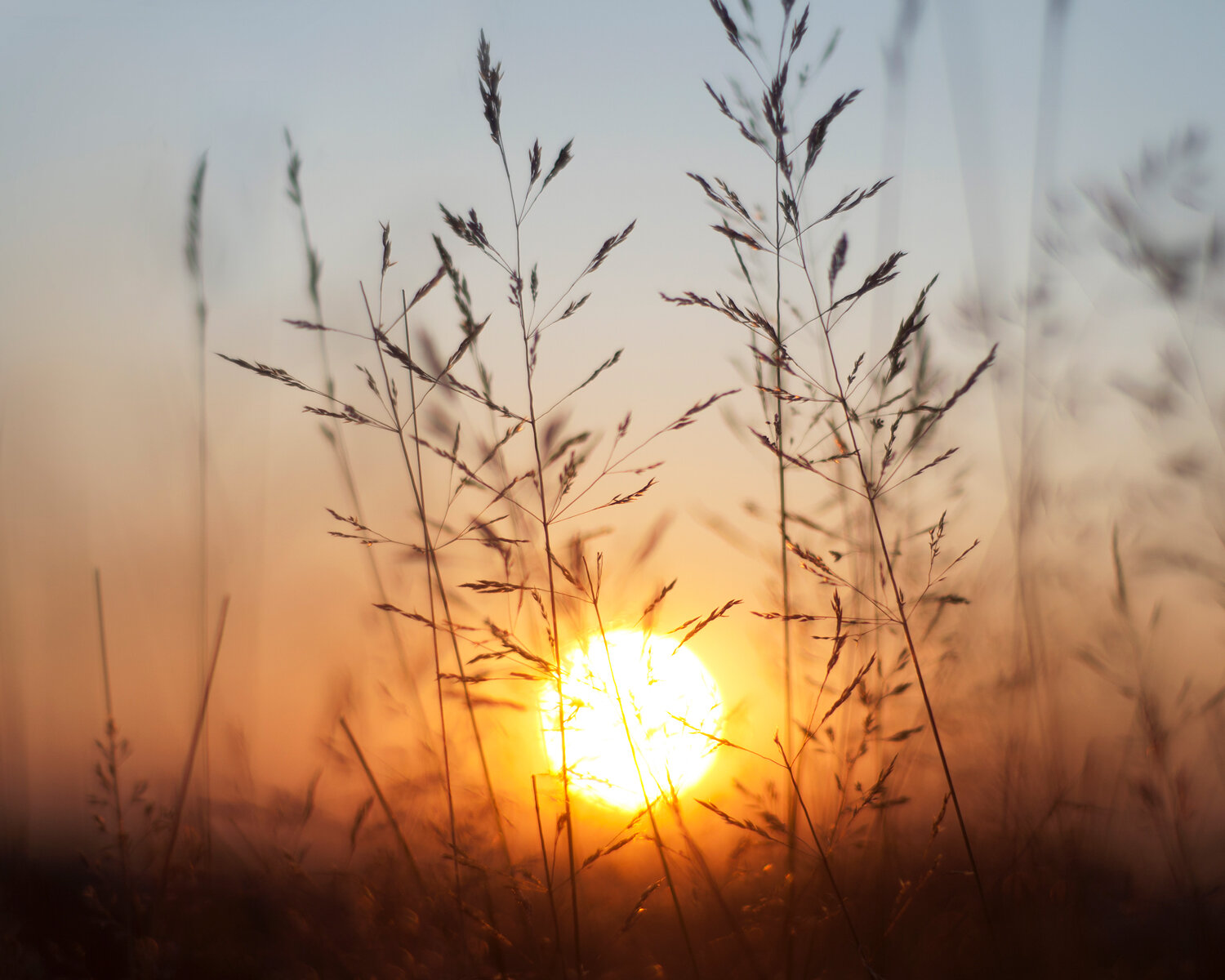 Ida_Hollis_Photography_Nature080.jpg