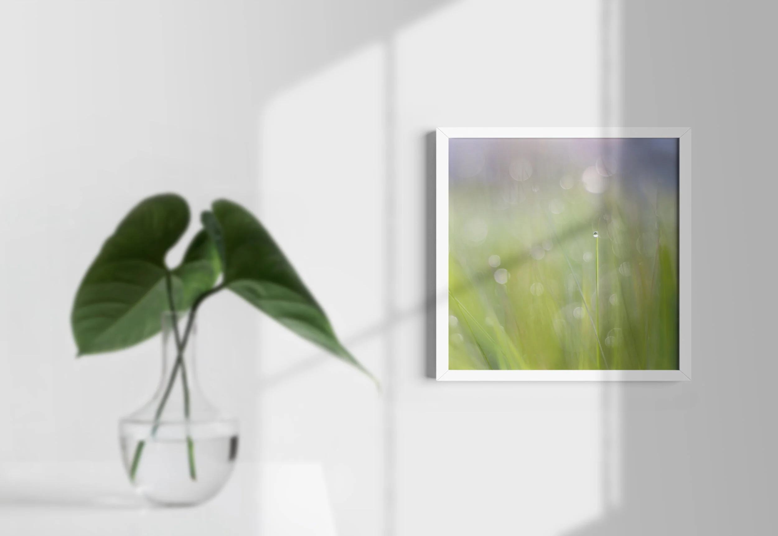 AmpngDewWhiteMockup.jpg