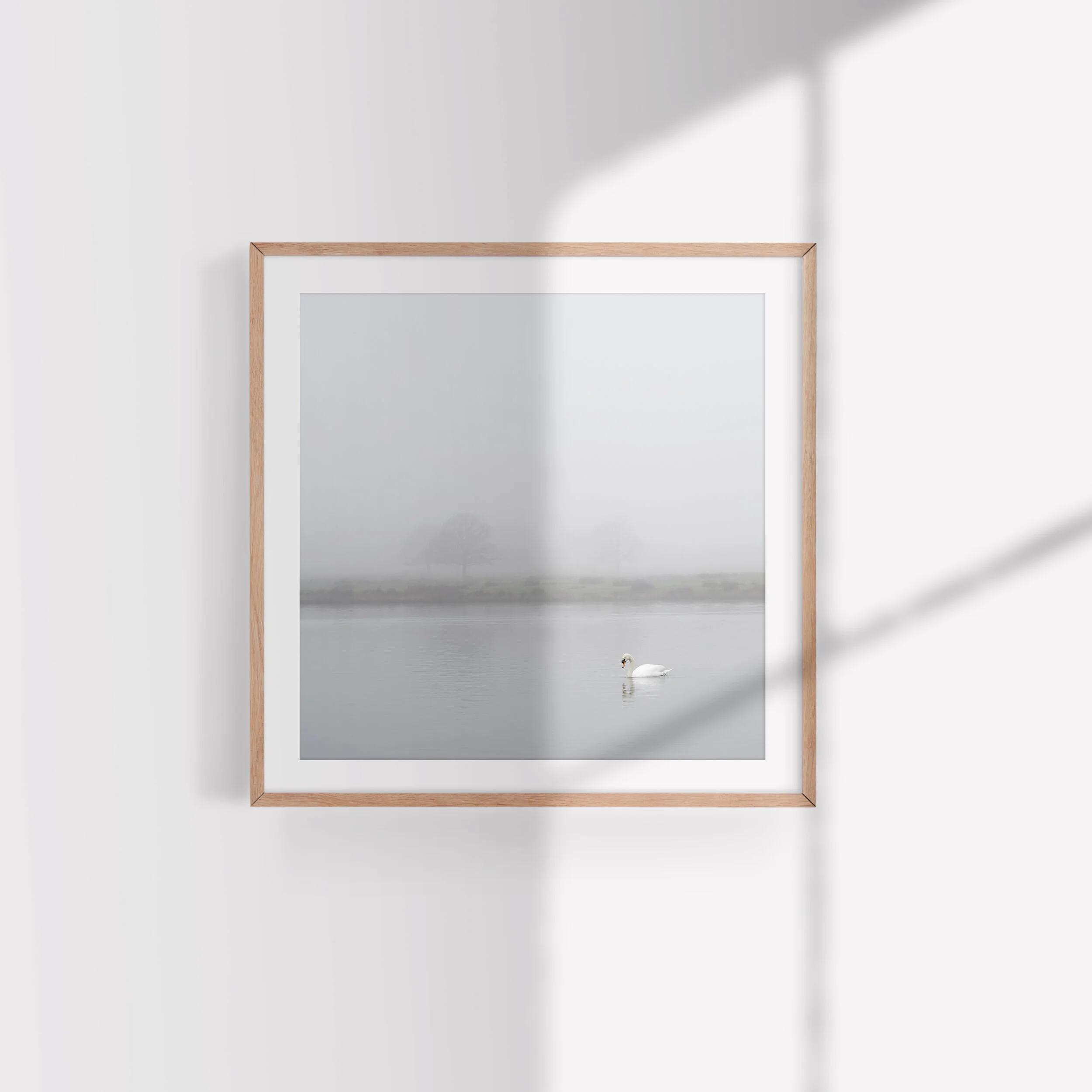 WorldofWhote_Shadow.jpg
