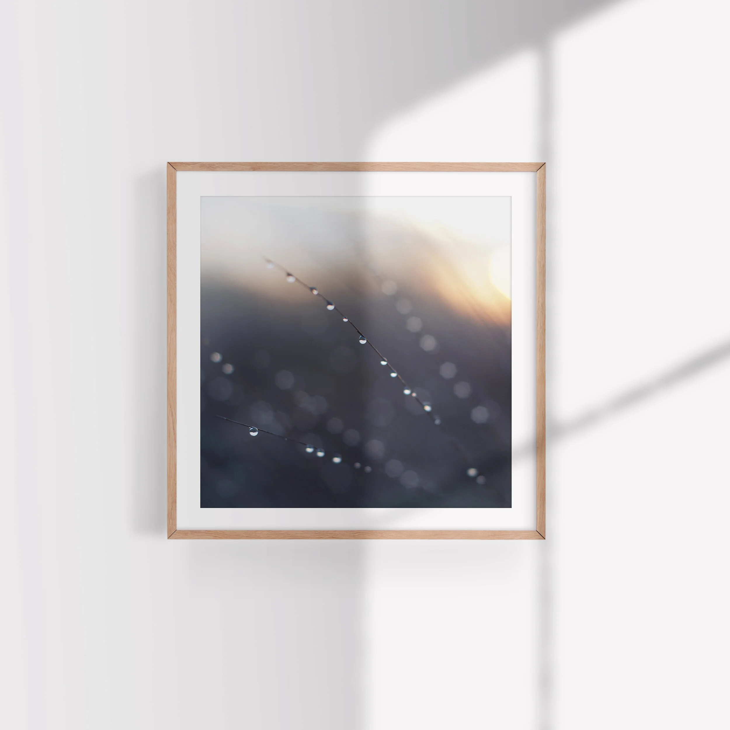 Fragility_Shadow.jpg
