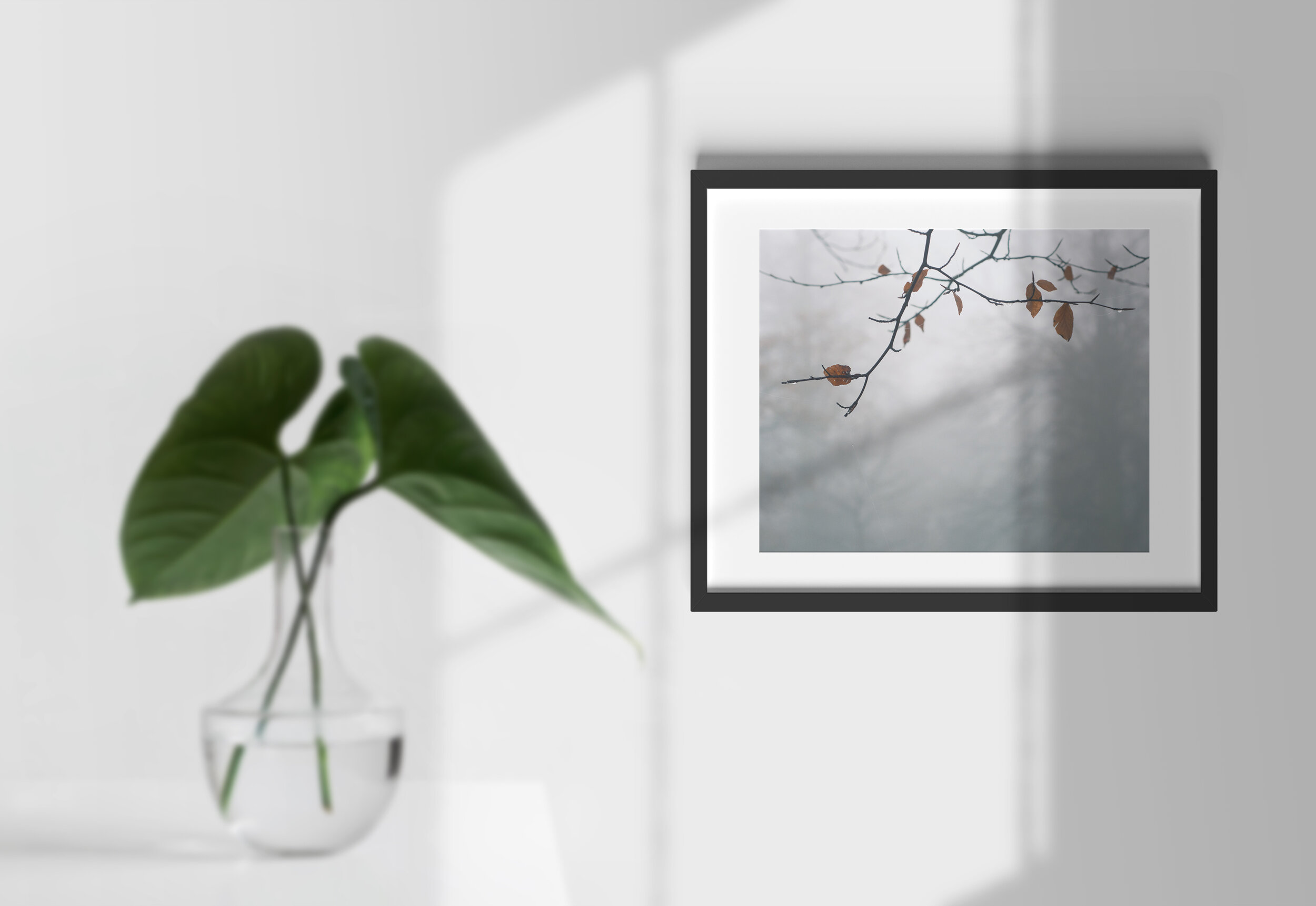 StillWinter_Scene.jpg