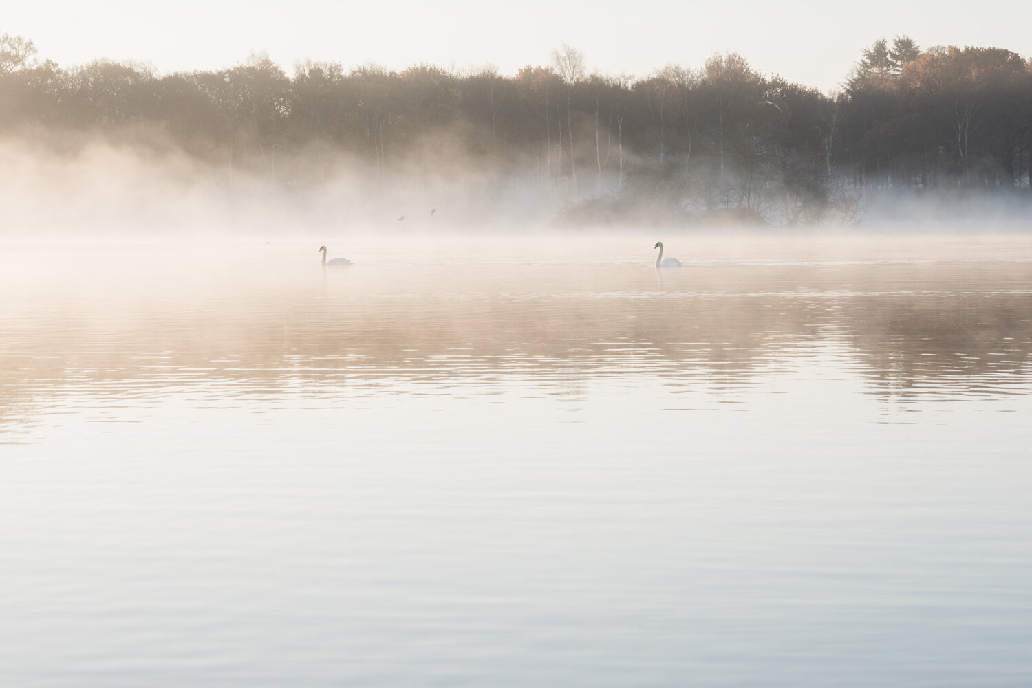 Ida_Hollis_Photography_Nature073.jpg