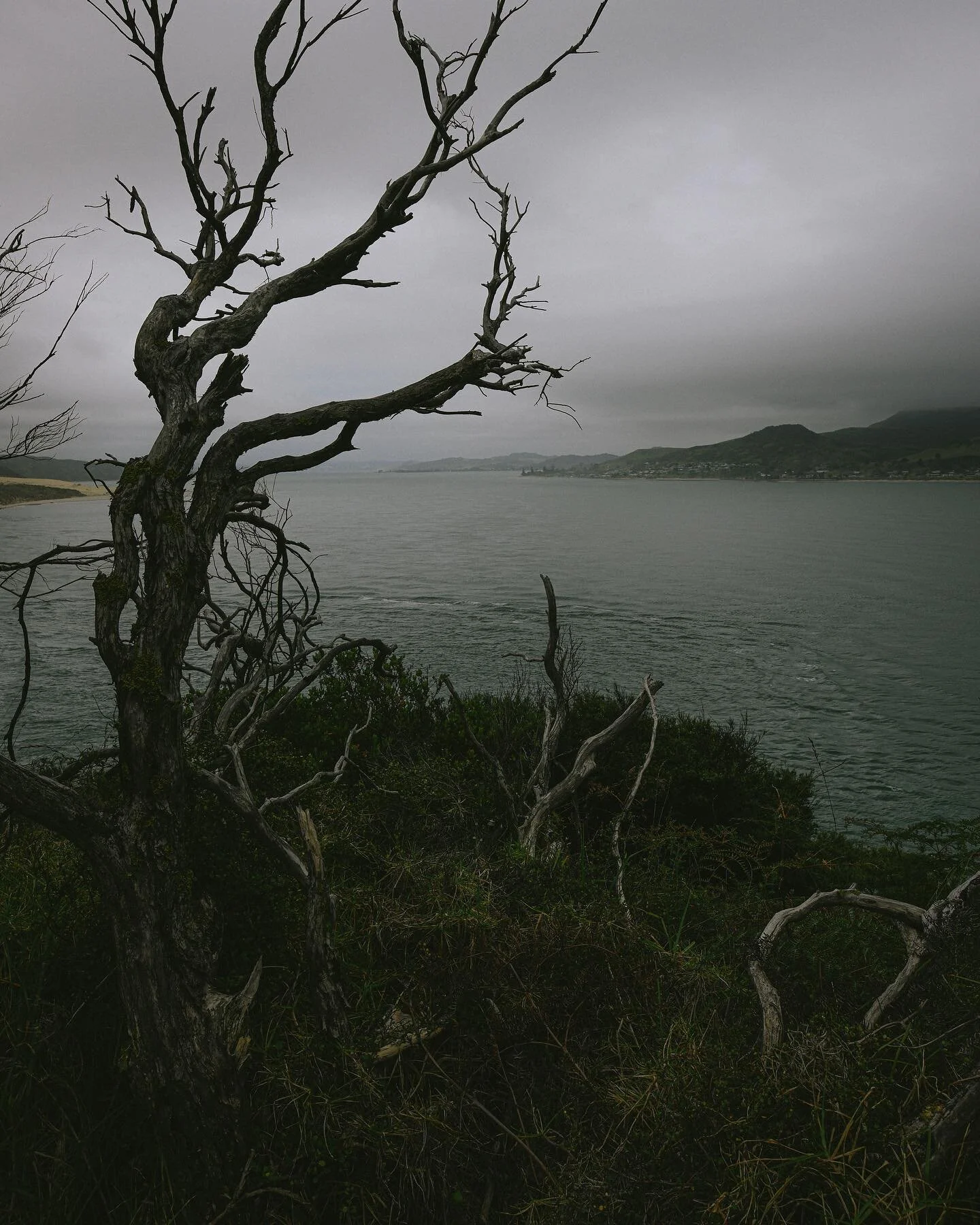 From our first walk on the road in New Zealand, warm moody weather, settling into van life again...