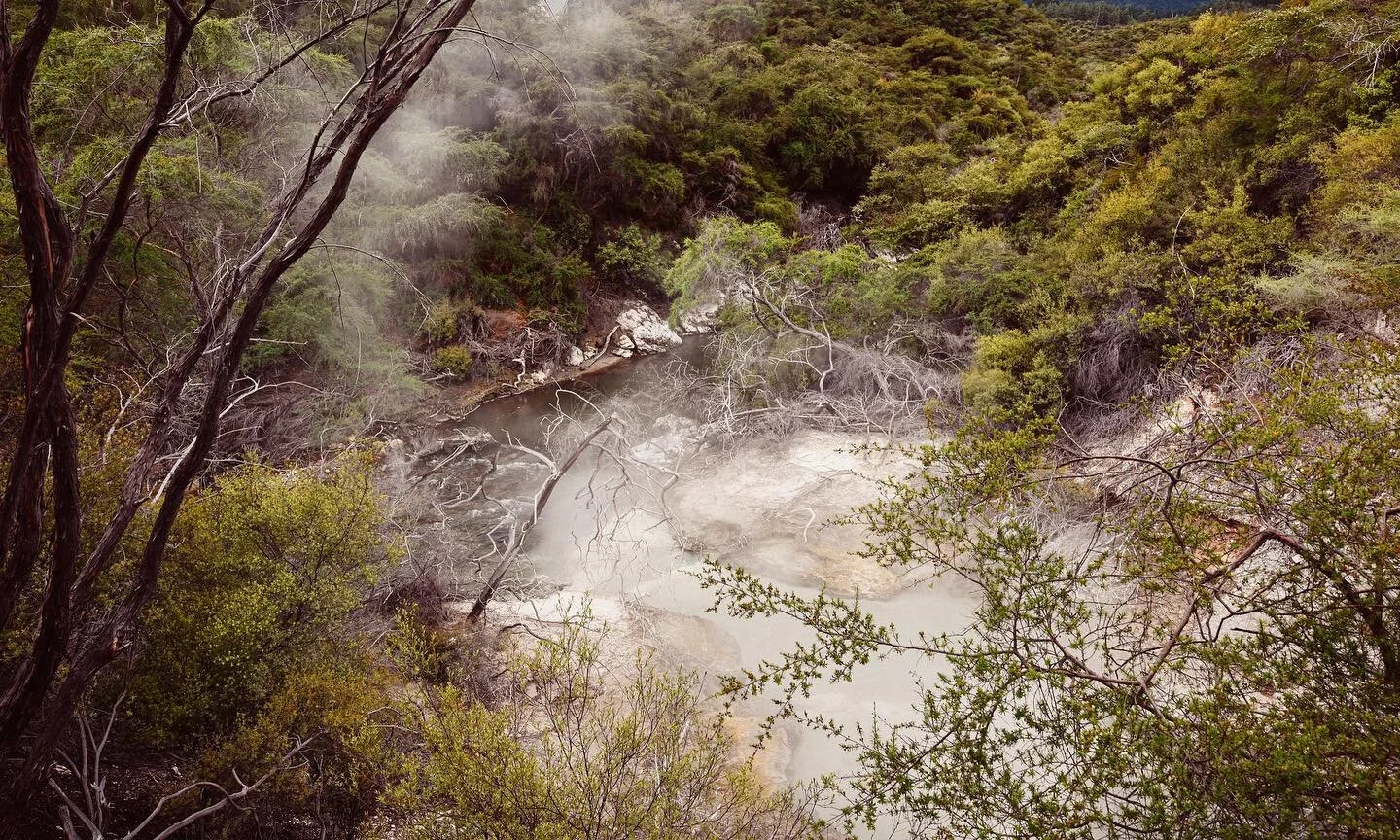 Sharing a few photos from our January 2020 New Zealand adventure while we wait out Lockdown III... I can&rsquo;t wait to get back out there to shoot again! This was where we began the journey, the geothermal landscapes of Rotorua.