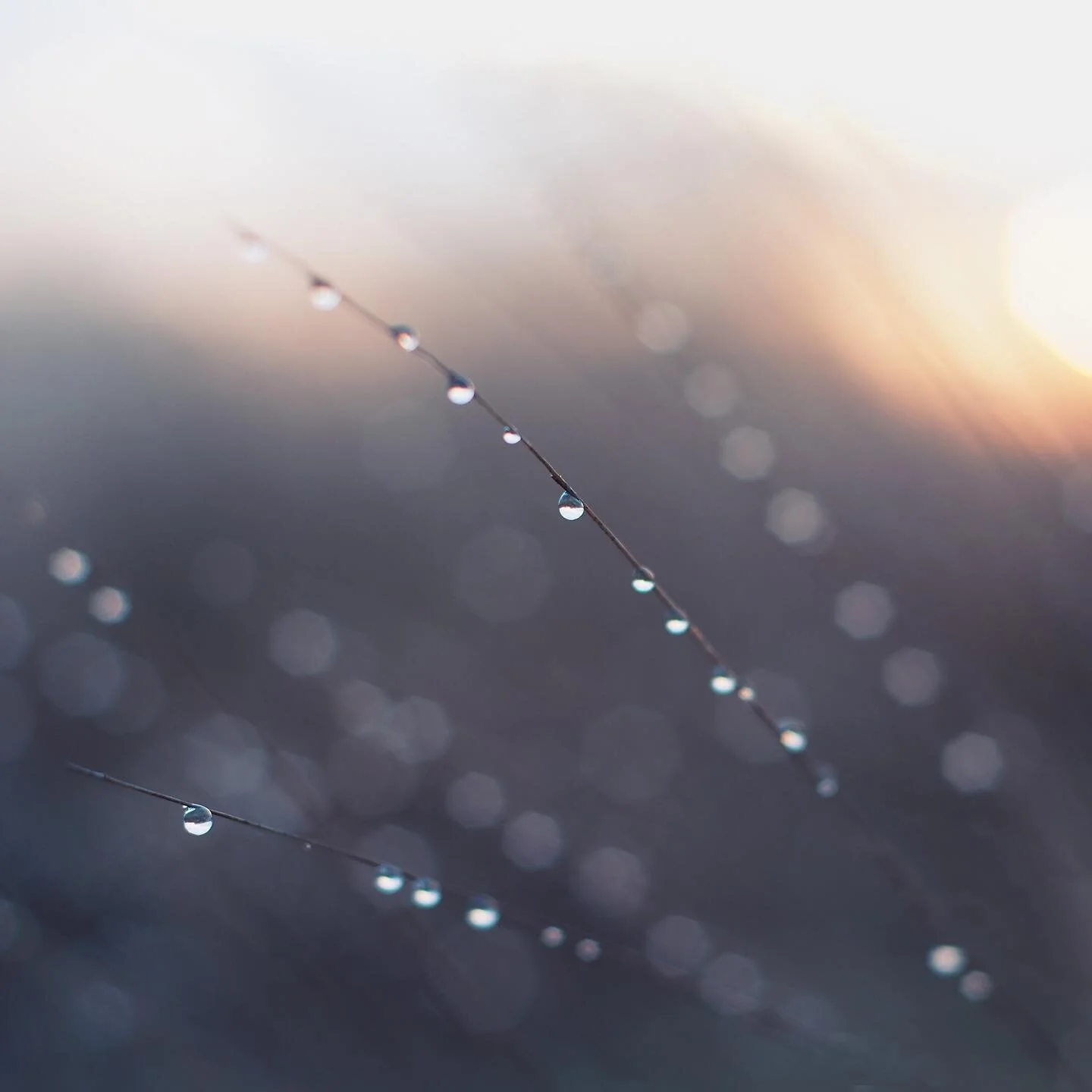 New print! Link in bio...

Abstract and dreamy in Richmond on a pale winter morning.