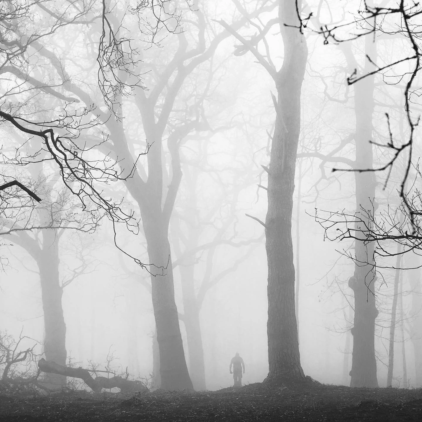 Into the Woods - an old fave now available as a print (link in bio).

Taken at roughly 6:00 am on an incredibly foggy morning, the world was shrouded in white and in mystery. Everything seemed to be disappearing before my eyes, it felt like being in 