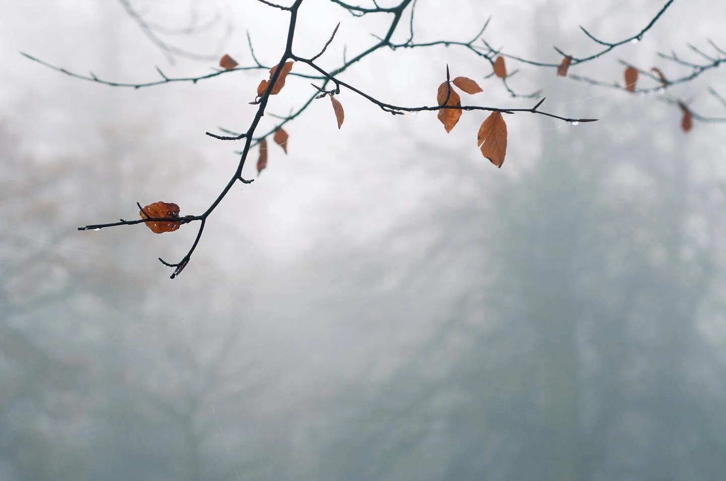 Today&rsquo;s new print is moodier than yesterday&rsquo;s to suit the moody day! It&rsquo;s called Still Winter - Link in bio! :)