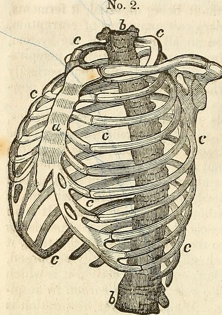 14577071038_1fab3408d5_o.jpg