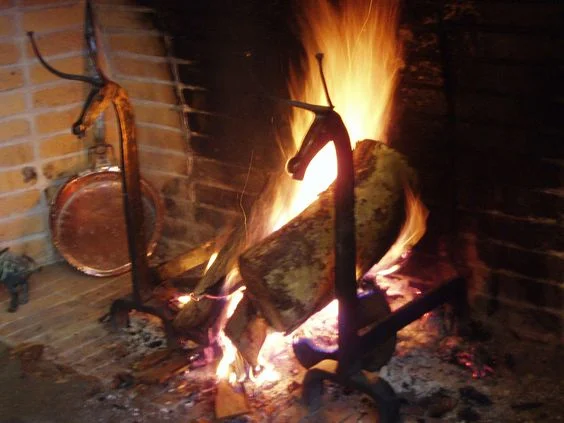 We made a fire, and then it SNOWED!