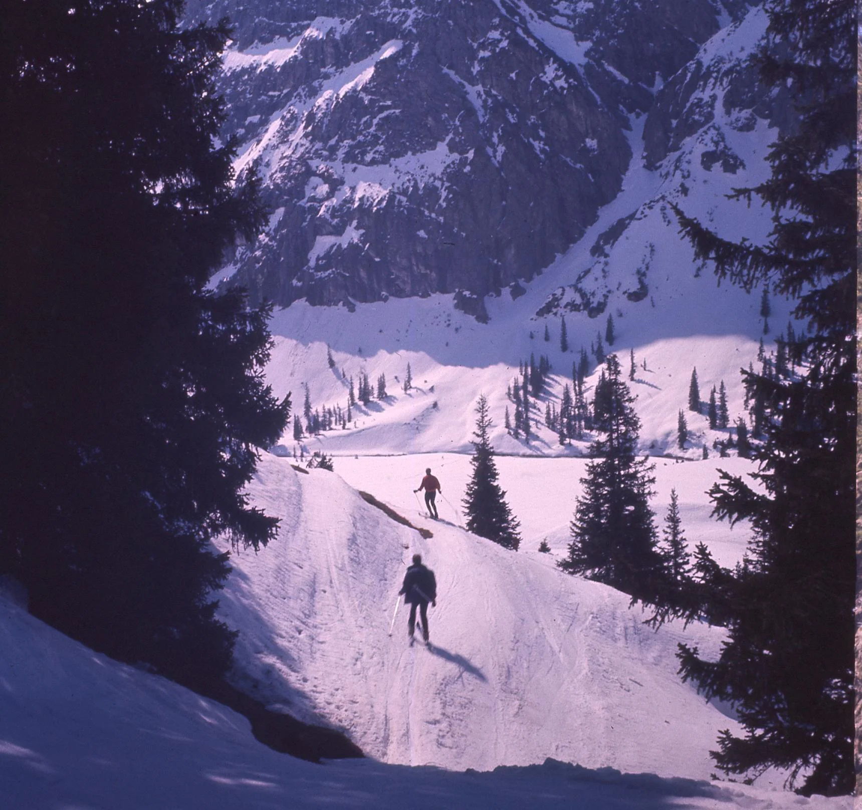 "The snow was glorious and I tore over the bumps!"