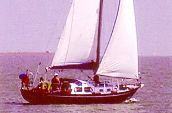 A Nicholson 32 called 'Sea Flirt'