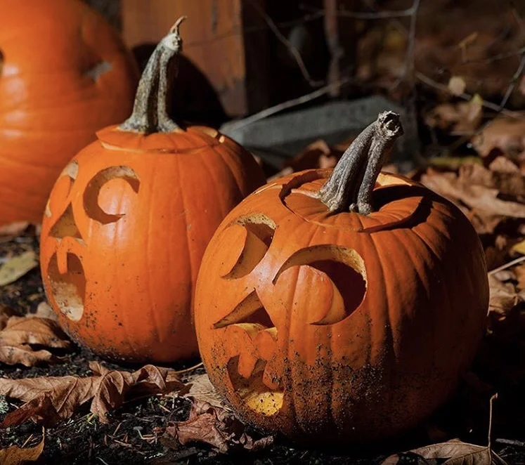 "Lanterns from pumpkins everywhere!" Photo: @staticflux